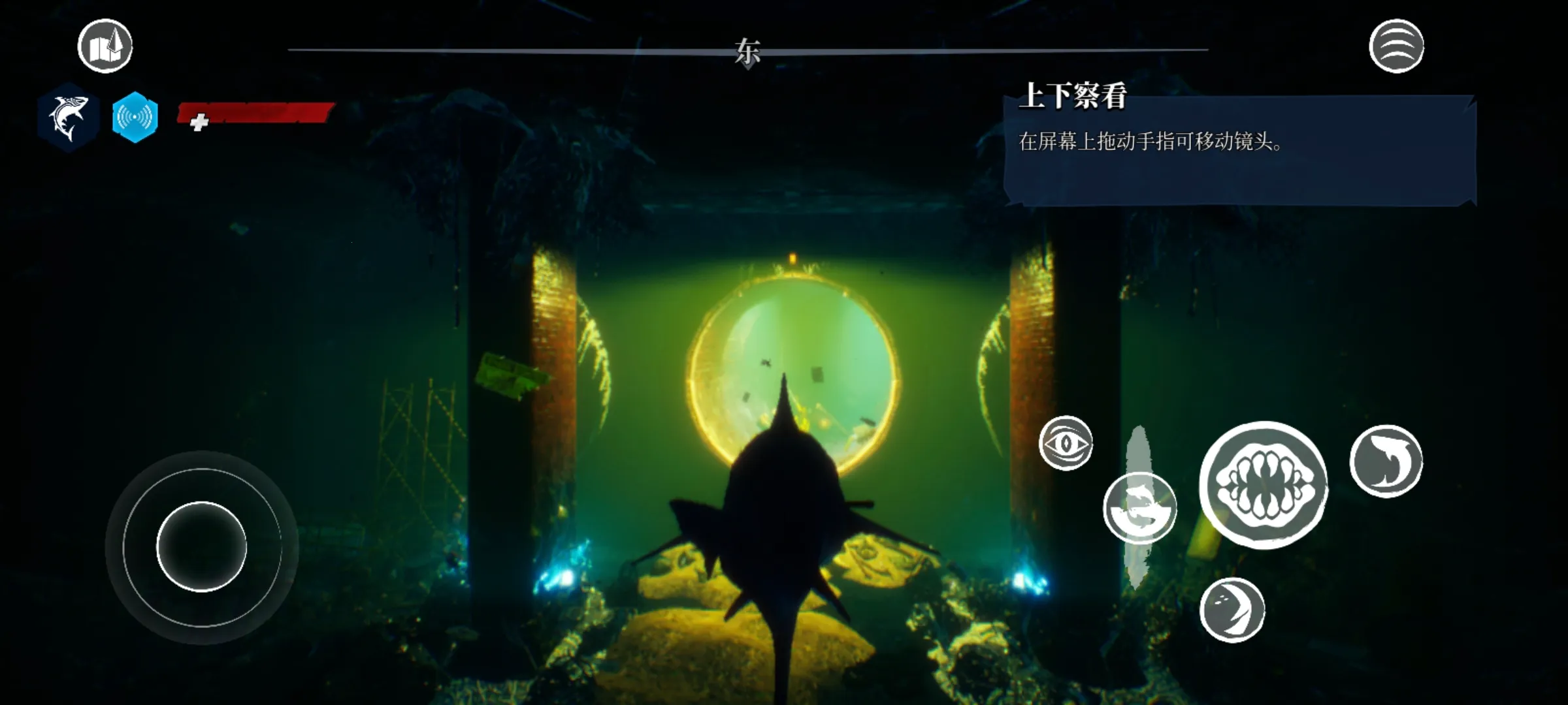 ʳ�������������������