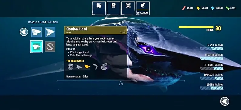 ʳ�������������������