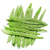 С�˶�2026����