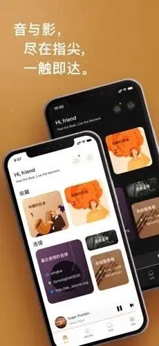 HiFier(���ֲ��Ź���)