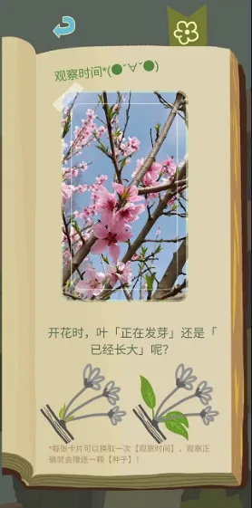 ��ũ������������