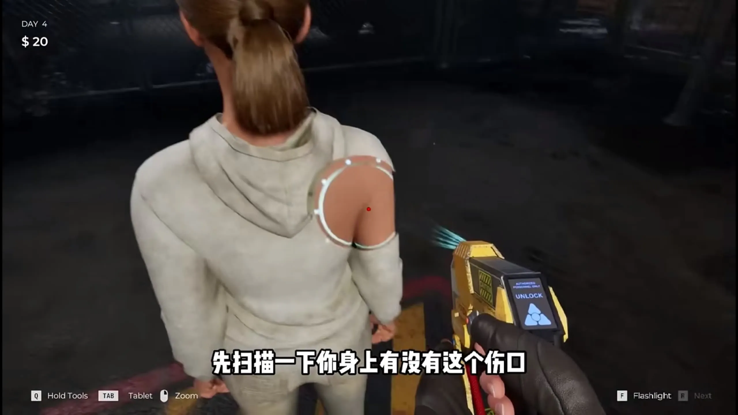 ɥʬ�߾�������ʽ��