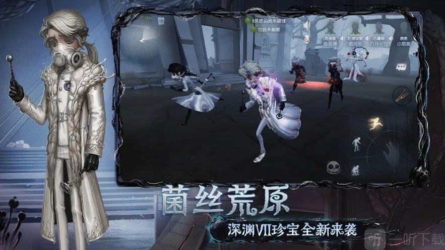 �Ƶ����˸�����2026���°汾