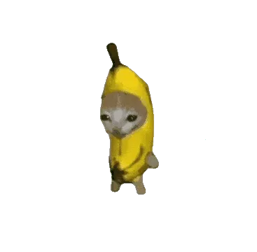 �ȱ�������׿���ֻ���v1.0 ��׿��