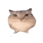 �ͰͲ�һ�����ֻ���