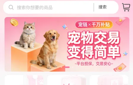 ��������2026�ٷ����°汾