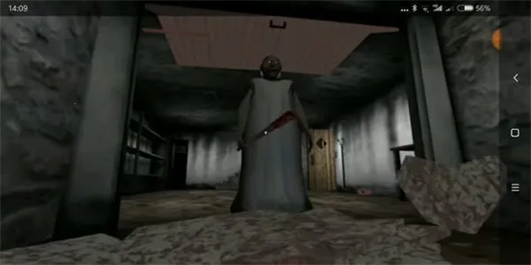 奶奶32026官方最新版本 奶奶32026官方最新版本