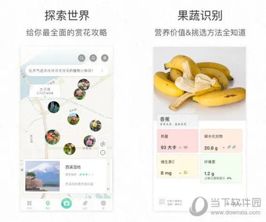 ��ɫ(ֲ��ʶ������)