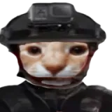 ��ŭ���ھӣ�����2������ư�(�ھ�������Ϸ)