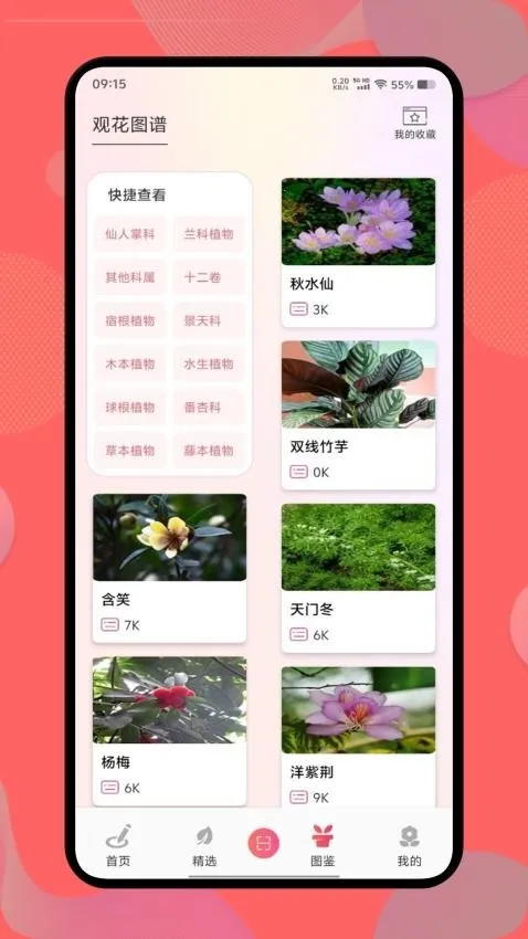 ������2026�ٷ�����