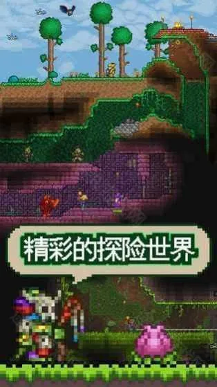 泰拉瑞亚饥荒联机版(饥荒联机游戏) 泰拉瑞亚饥荒联机版(饥荒联机游戏)