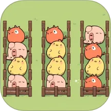 �ʱ���ǰ��2026�ٷ����°汾v1.0 �ٷ�����