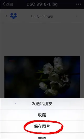 dropbox(�ƴ洢����)