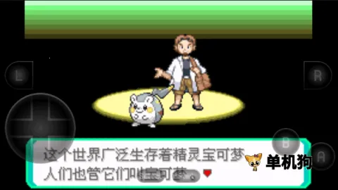 �����ξ����̱�ʯ�����ֻ���