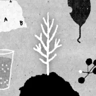 ������2026����