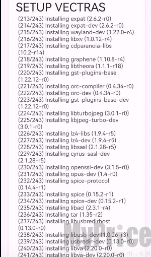 vectras vm2026���°汾