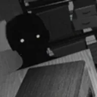 Ѱ��α���ﻯ��v1.0.1 �ٷ�����