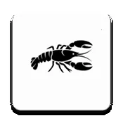 ��Ϻ��������2026����