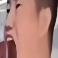 ����������2026����v1.0 �ֻ���