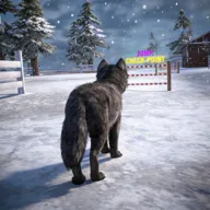 ��ģ���� 3D(��ģ��������Ϸ)