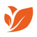 ����ѡ�����ֻ���