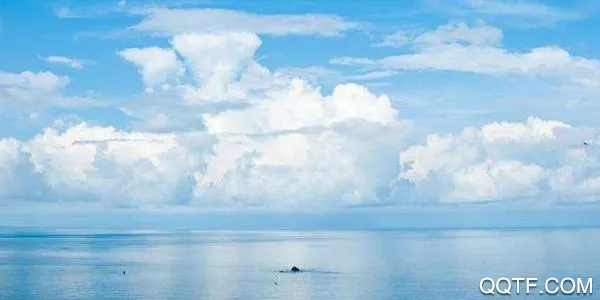 ��׼����2026�ٷ����°汾