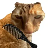 ��è��ë�����ֻ���v1.0 �ֻ���