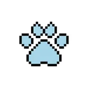 Clawket2026���ذ�װv2.1.0 ��׿��