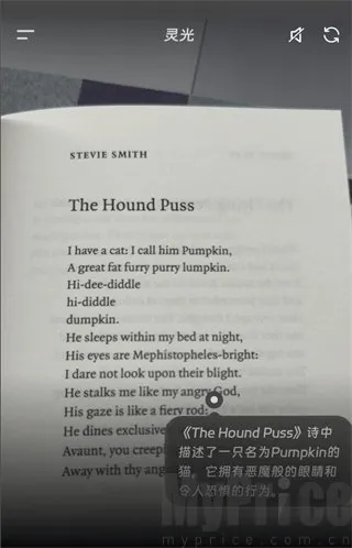 ���AI��������