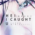 ��ץ������2026�ٷ����°汾
