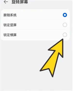 bobobrowser�������ô�򿪺���