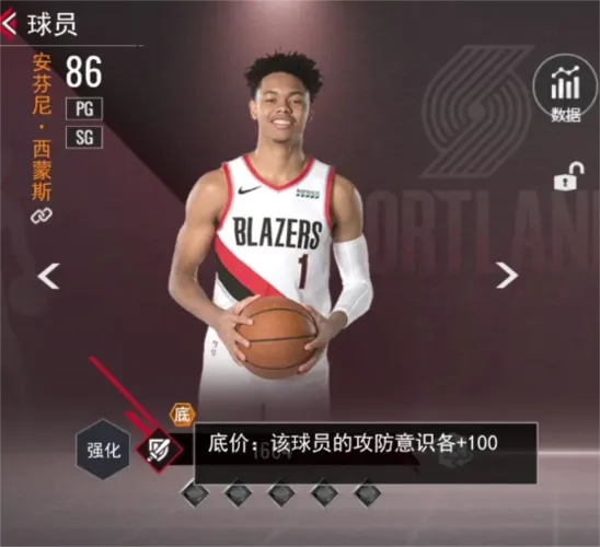 NBA��������(���򾺼���Ϸ)