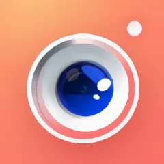 ����ͷ��������(ͷ����������)