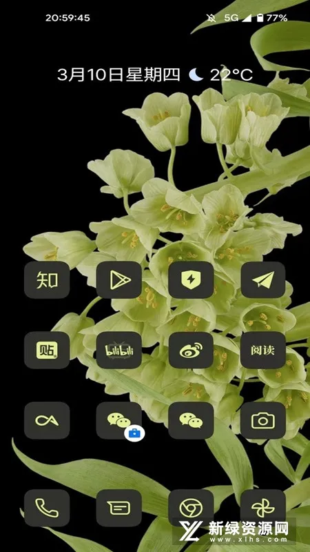 cayicons(ͼ�����������)