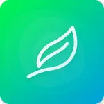 ����������(��������app)