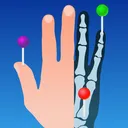 e-Anatomy(�������ͼ��)