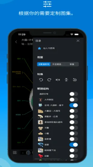 e-Anatomy(�������ͼ��)