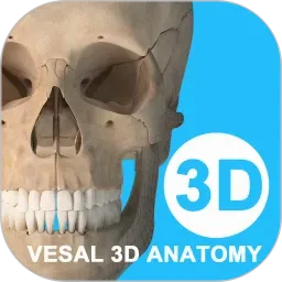 ά����3D����2026���°汾v7.0.1 �ٷ�����